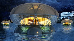 Jellyfish Lodge Grafik