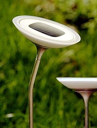 Corona