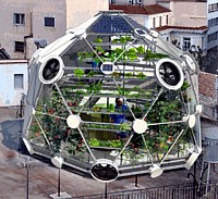 Globe / Hedron