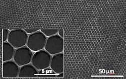 Dünnschicht-Polymermaterial