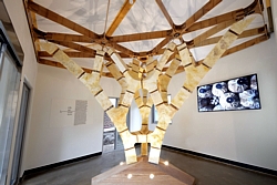 Myco Tree