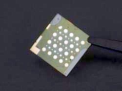 Spinat-Chip