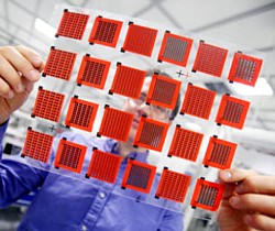 Crispin-Polymerfolie