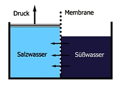 Funktionsprinzip der Osmosekraftwerke