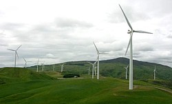 Te Apiti Windfarm