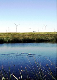 Tatanka Windfarm