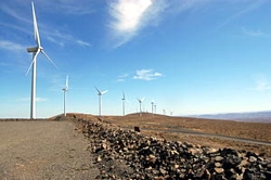 Wild Horse Windfarm