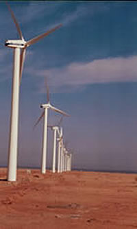 Windpark Zafarana