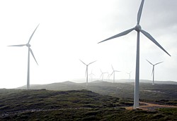 Albany Windfarm