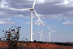 Windpark in Südwest-Australien 