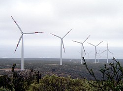 Canela Windpark