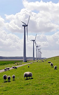 Windfarm Westermeerdijk Espel