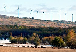 Bear Mountain Windpark