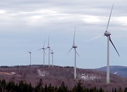 Glen Dhu Windpark