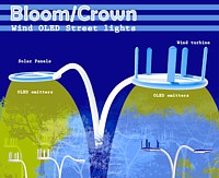 Bloom/Crown Grafik
